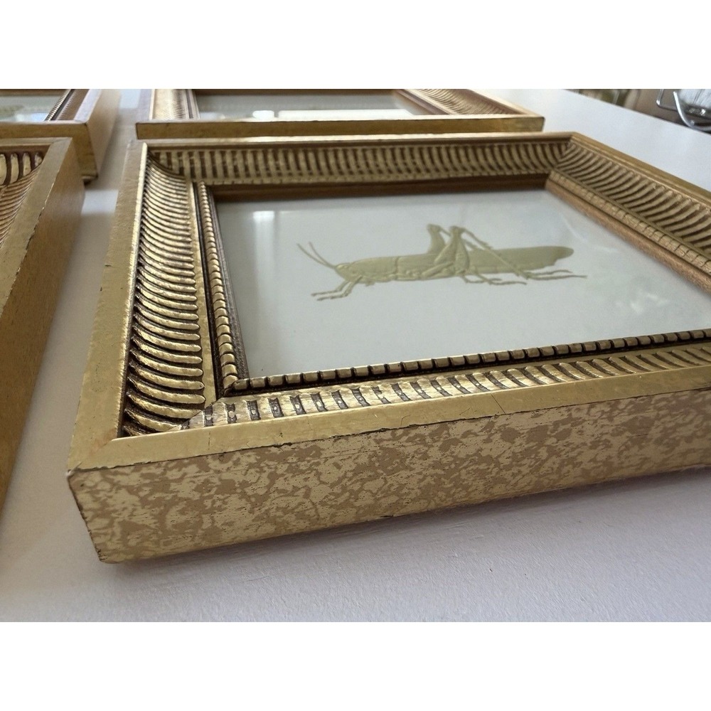 2005 "Bugs of Gold" Embossed Insect Prints – Kevin Lahvic – Gold Frames - Pier 1 - Picture 6 of 12